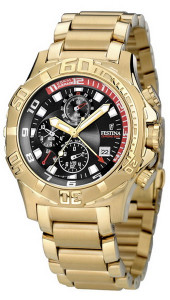   Festina F16287/1