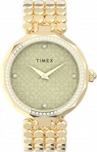   Timex Asheville Tx2v02500