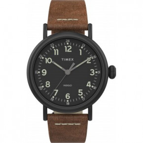   Timex Standard (Tx2t69300)