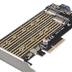  Frime (ECF-PCIE2.4sRAID002.LP) 3