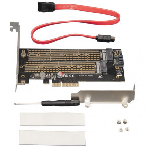  Frime (ECF-PCIE2.4sRAID002.LP) 6