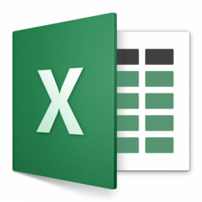   Microsoft Excel 2019 Charity Perpetual (DG7GMGF0F4LX_0003CHR)