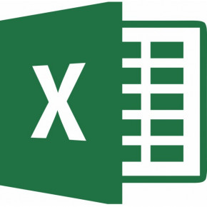  Microsoft Excel LTSC 2021 (DG7GMGF0D7FT-0002)