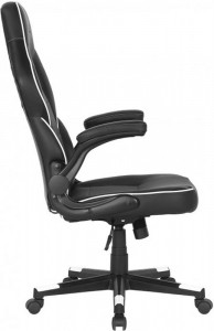   2E Gaming Hebi Black/White (2E-GC-HEB-BKWT) 4