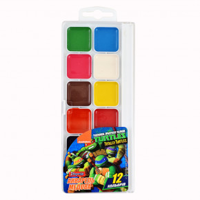  1  Ninja Turtles 12  TMNT (110254)