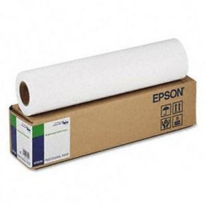  EPSON 17& Standard Proofing Paper (C13S045008)