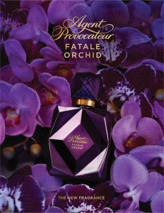   Agent Provocateur Fatale Orchid 30  3