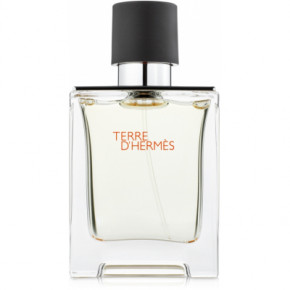   Hermes Terre d'Hermes  100  (3346131400027)