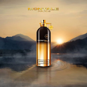   Montale Leather Patchouli 100 , , 