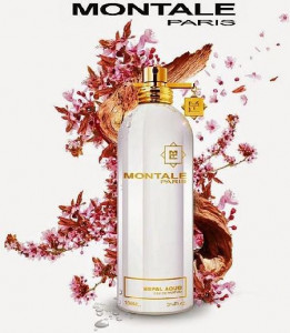   Montale Nepal Aoud 100 , 