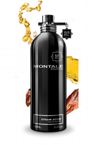   Montale Steam Aoud 2 ,  3