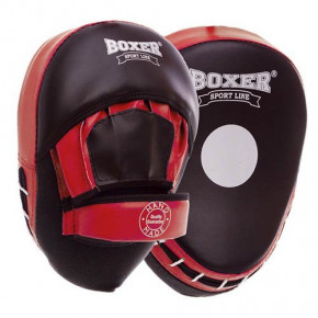    Boxer 2013 - (37429341)