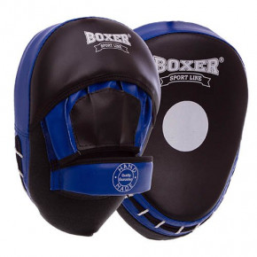    Boxer 2013 - (37429341)