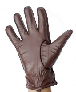      Shust Gloves L  3