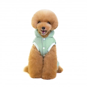     DogBaby Lovely M Mint Dog Baby 1231796992 4