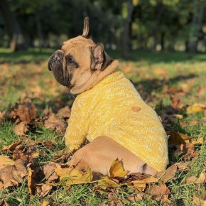        Dog Baby Button Yellow XL Dog Baby 