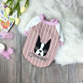    Dog Baby Chocolate L YW521-PL