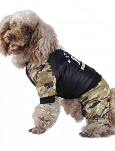    Dog Baby FBI Camouflage 2XL 5