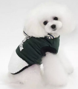    Dog Baby FrenchDog Green XL 5