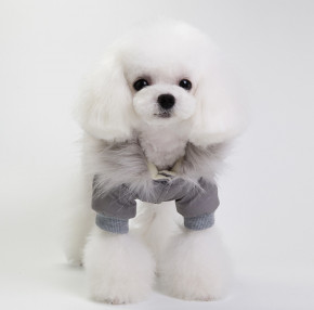       Dog Baby Style Grey XL 4