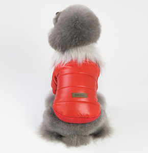       Dog Baby Style Red XXL 3