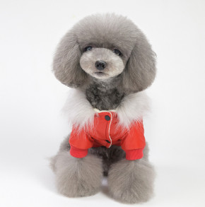       Dog Baby Style Red XXL 4