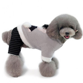    Dog Baby Teddy Grey L 3