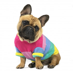    DogClub Rainbow Multicolor L DogClub 1101942771