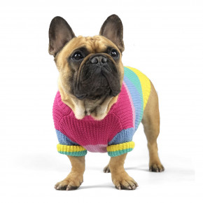    DogClub Rainbow Multicolor L DogClub 1101942771 4