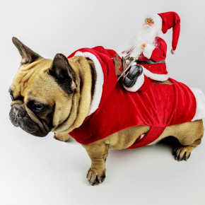     DogClub Santa