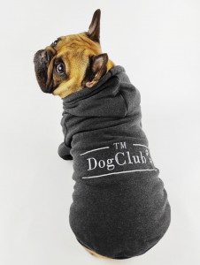    DogClub Brand Grey DogClub 1357539367