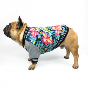    DogClub Hawaii Multicolor S DogClub 1364901704