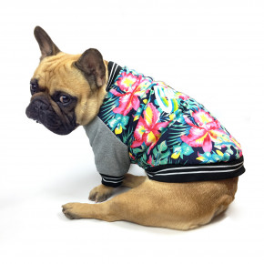    DogClub Hawaii Multicolor S DogClub 1364901704 3