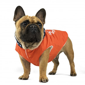      Elfidog Rudolf 3XL Orange Elfidog 1231428925 3