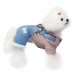     IdeaPet Granger 2XL Blue Ideapet 1231926514