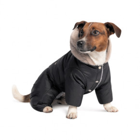    Pet Fashion BLACK M (4823082428649)