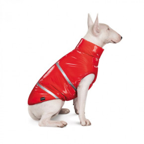    Pet Fashion Big Boss 2XL  (4823082423941) 4