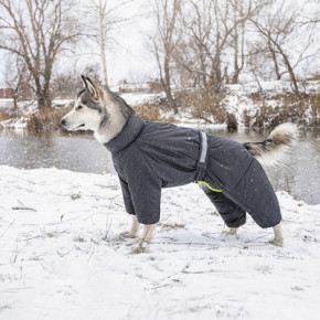    Pet Fashion COLD 3XL () (4823082426379) 6