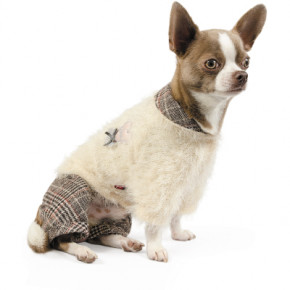    Pet Fashion  S  (4823082411658)