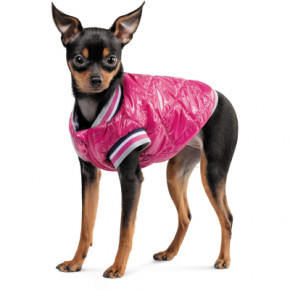    Pet Fashion Grace XS (4823082430147) 3