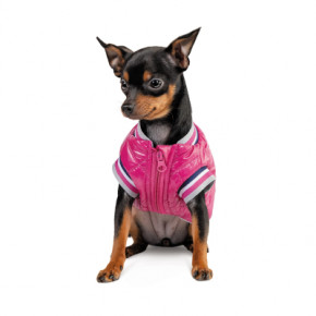    Pet Fashion Grace XS (4823082430147) 4