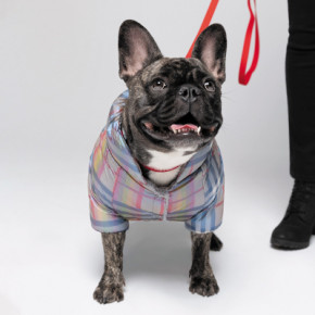    Pet Fashion INDIGO M2 () (4823082428960)