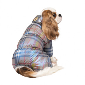    Pet Fashion INDIGO M2 () (4823082428960) 3