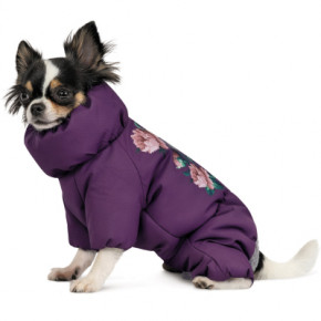    Pet Fashion LOLA S (4823082432417) 5