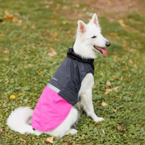    Pet Fashion ROY 2XL - (4823082432912) 9