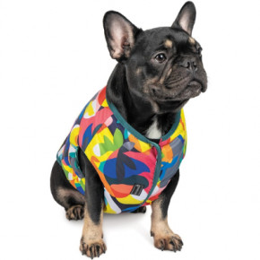    Pet Fashion SPRING XS-2  (4823082420537)