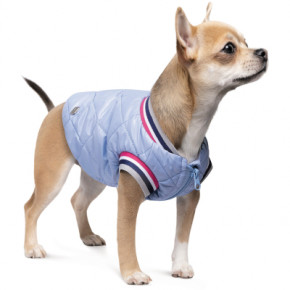    Pet Fashion Spike XS2 (4823082430215) 3