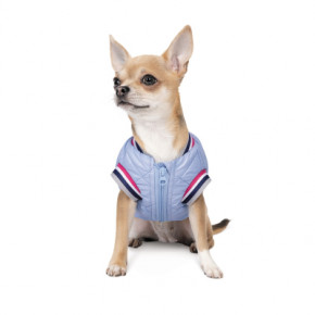    Pet Fashion Spike XS2 (4823082430215) 4