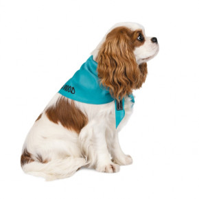    Pet Fashion WEEKEND M-XL  (4823082421138) 3