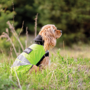    Pet Fashion Warm Yellow Vest L (4823082417247) 11